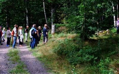 Pilgrimsvandring i Kalv