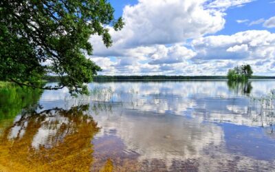 Photo: Mats O Hansson