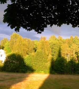 P1030212_768x768_cut