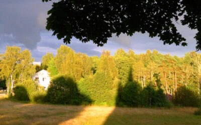 P1030212_768x768_cut