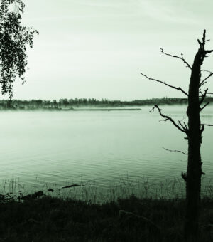 Foto: Mats O Hansson