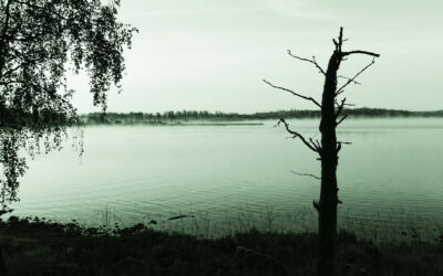 Foto: Mats O Hansson