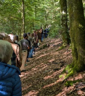 PXL_20250810_075656736