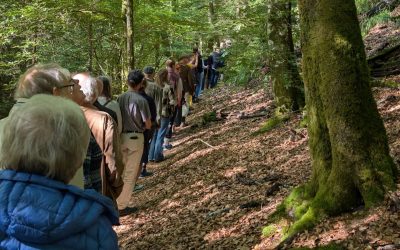 PXL_20250810_075656736